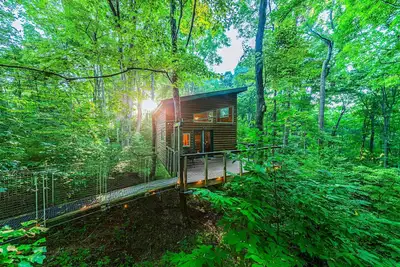 Among the Trees - The Library