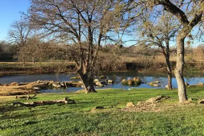 Image de Glamping, Vintage Rv San Marcos Water Front Style! One Acre! No Pets!