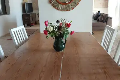 Image de Green dors house