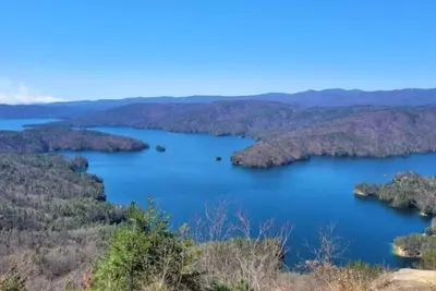 Image de Tiny House - Slice of Heaven Walhalla\n