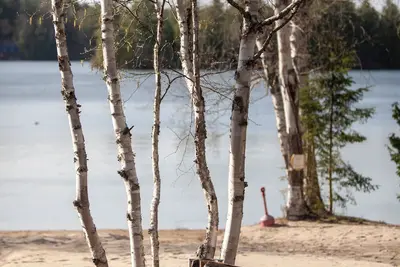 Image de Cozy lakefront cottage at Algonquin Woods cottage resort