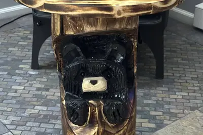 Image de Secluded mountain home on over 10 wooded acres, modern, WiFi and pet friendly!