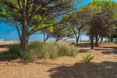 Image de Simple joyau du Dimore di Budoni num1694