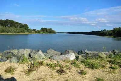 Image de Tranquillité rurale au cœur de la nature en Pays de la Loire