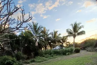 Image de Villa Strelitzia bord de mer proche lagons