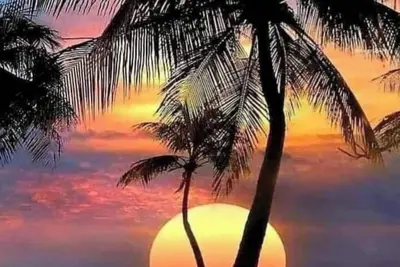 Minutes to Beautiful Clearwater Beach!