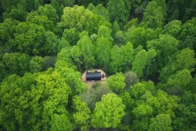 Image de The Tiny Feather Summ