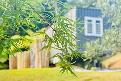 Image de Container home next to a beautiful river (Casa Vagon Isla Bendita)