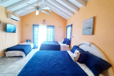 Image de Ever Green is a pleasant, breezy cottage with big palm trees and flowers.