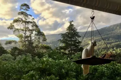 Image de Mountain View Lodge in Warburton