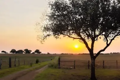 Image de MoonShiner Farm - Shiner Tx