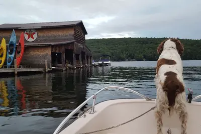 Image de Squam Lake Waterfront home. You can't get any closer to the water!