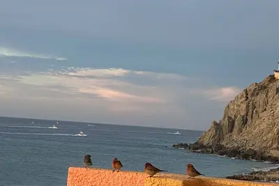 Image de Ocean Front Condo. . Sunrise And Sunset Daily\n private, master bed/bath penthouse