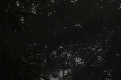 Image de The Point - Single Family Waterfront Home on Carters Creek