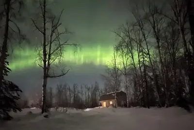 Image de Sled Dog Cabin: Family, Pet Friendly Quiet Home in Wasilla