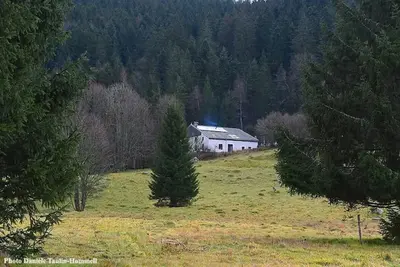 Image de Chalet standing isolé à Gérardmer - 15 pers - spa -5 sdb