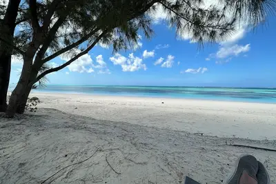 Image de Brand New Beachfront Villa best sandy beach in Tci with pool Fox Tail Palm Villa
