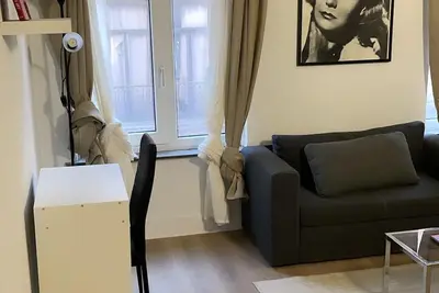 Image de Magnifique Appartement Lumineux et Central