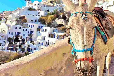 Spacious Santorini Villa | 2 Bedrooms | Villa Filos | Private Jacuzzi & Close to Amenities | Fira