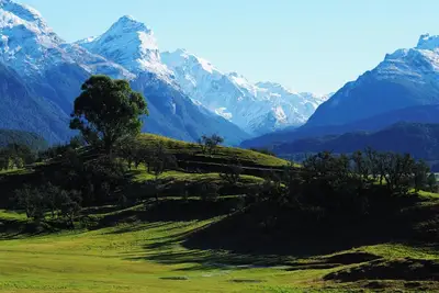 Image de Enjoy a Pacific Northwest inspired seafood lunch!