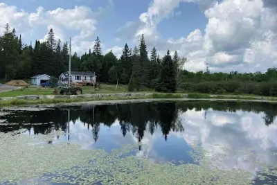 Image de New Cozy and Private Cottage - Trent Lakes.