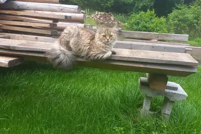 Image de Peace and relaxation in Saxon Switzerland