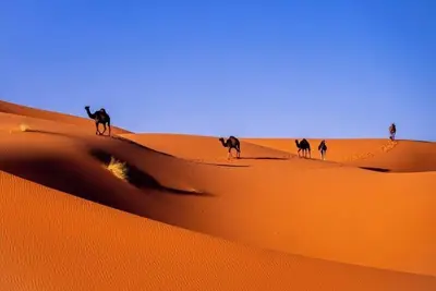 Image de Camp de Luxe Dans le Désert de Zagora