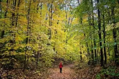 Image de Barton City Lodge\n