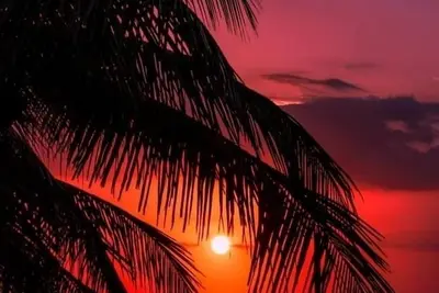 Image de 2023 Renovated The Retreat 17 Oceanview ground floor condo steps to ocean/beach