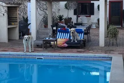 Image de Own house on a 3 villa property with shared pool.