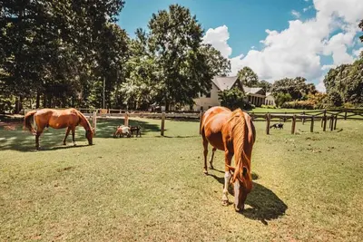 Image de Lakefront, Farm Animals, Swim, Kayaks, Sauna, Gym