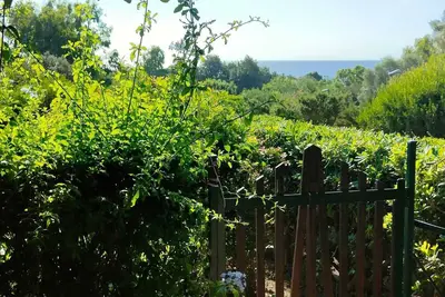 Image de 1 Bedroom Apartment in Stintino