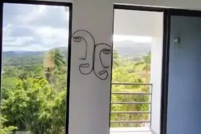 Image de Modern Tropical Oasis