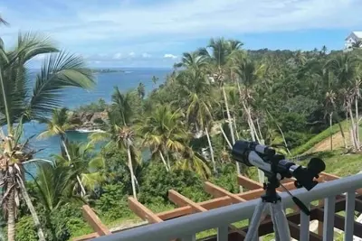 Image de Wake Up At Paradise