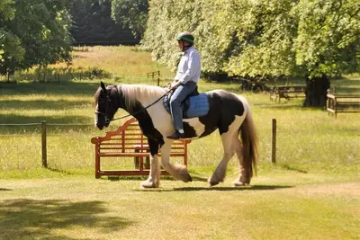 Image de Cosy Country Cottage overlooking its garden and countryside
