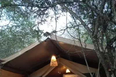 Image de Wilderness Glamping Retreat!