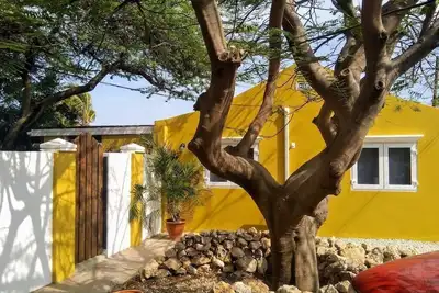 Image de Casa Tropical Cottage w/ Pool