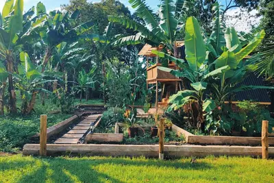 Image de Natural villa arusha