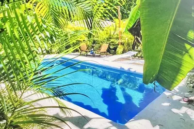 Image de New & accessible 2 bed apartment in quiet jungle location 10 mins walk to beach