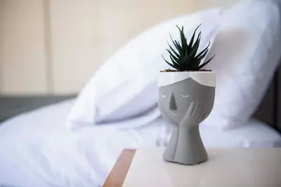 Image de Tophouse Kos Downtown