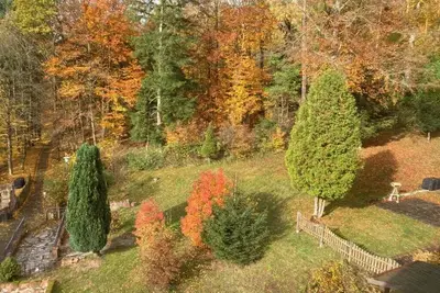Image de Immensee Ii Apartment with lake view and located at the forest edge