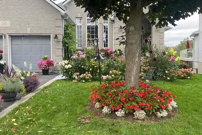 Image de Bright, spacious and walkout basement unit. \n Lcrl20230000513