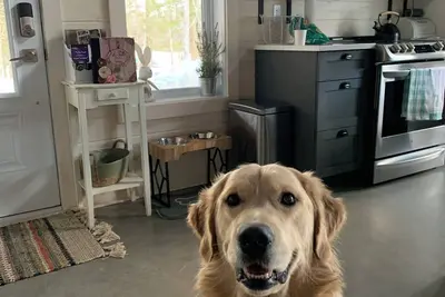 Image de Le Shack de la veuve, chalet rustique en plein coeur d'une érablière.