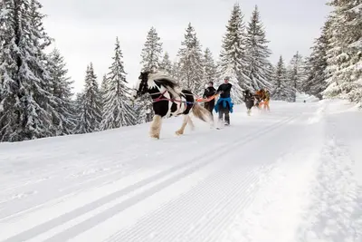Image de A Luxurious 18th Century Savoyard Farmhouse Turned Chalet in Morzine