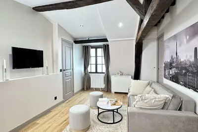 Image de Superbe appartement de 2 chambres dans le Marais