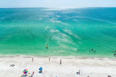 Image de \"Manatee\" 3 miles to Anna Marie<br>