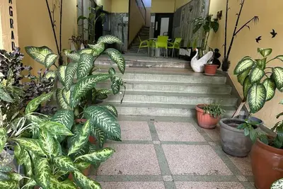 Image de In the Center of the City, With easy access to the main  atractive places.
