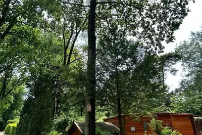 Image de Wooden holiday chalet is located in the 5-star bungalow park with swimming pool