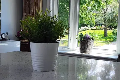 Image de Bright Newly Renovated Oasis, Centrally located, 5 mins from the beach