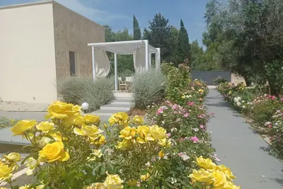 Image de Casa Olea jusqu’à 4 personnes, terrasse privée entre oliviers et mer